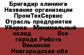 Бригадир клининга › Название организации ­ ПромТехСервис › Отрасль предприятия ­ Уборка › Минимальный оклад ­ 30 000 - Все города Работа » Вакансии   . Новгородская обл.